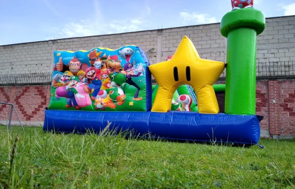 MARIO INTERACTIVO