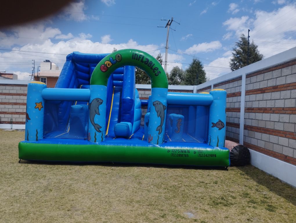 Reino marino bricolin lerma