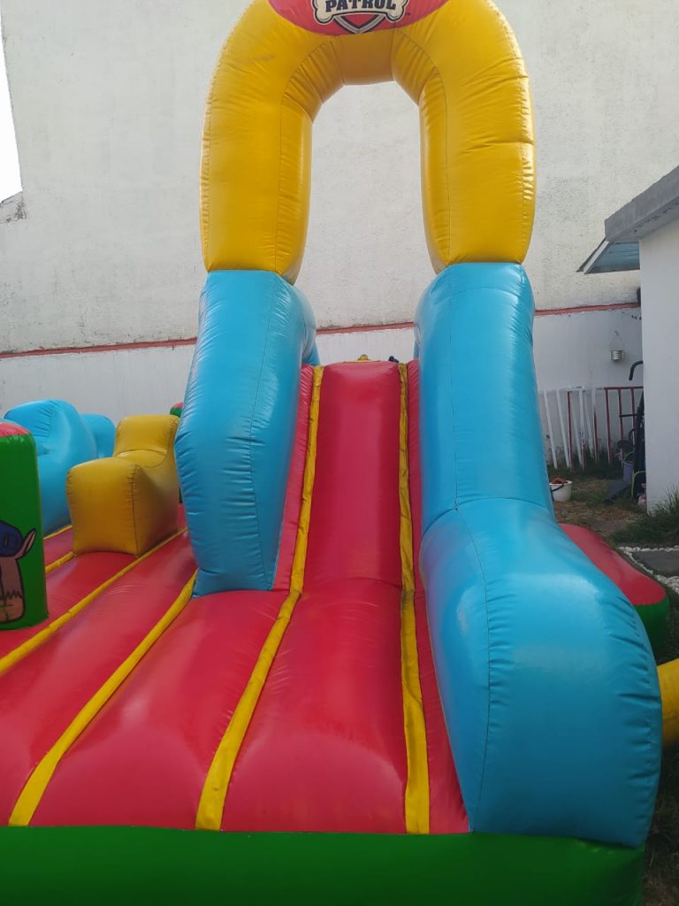 renta de inflable paw patrol toluca